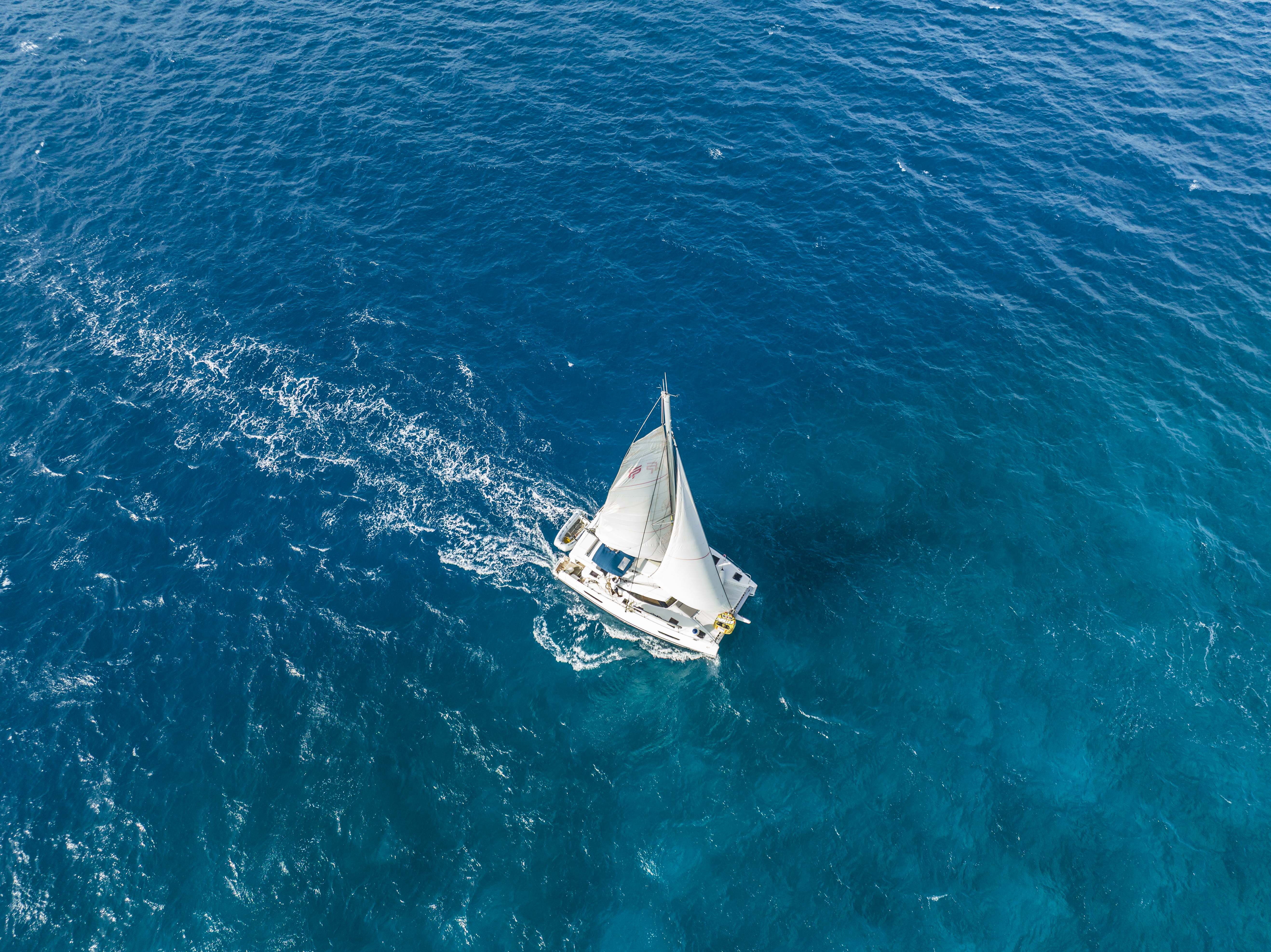 Artistic top-down